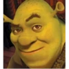 Shrek MEMES 💚 20