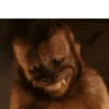 Funny Animals 11