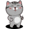 Kucing gemoy 1 22