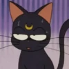 Algunos Gatitos Famosos❤️😸 6