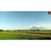 Animasi lucu 24