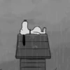 🐾 Snoopy shows🪄 😍 15
