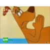 New Memes 30
