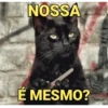 Memes e Deboches kkkk 11