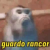 SUGESTÕES DA SEMANA ⭐️ 11