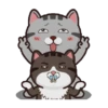 Kucing gemoy 1 23