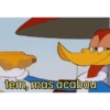 PICA PAU 🪾 WOODY WOODPECKER 24