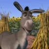 💚•SHREK~GIFS•💚 11