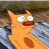 Algunos Gatitos Famosos❤️😸 9