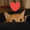 ANIMALITOS 🥺😍 10