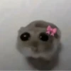 Mood molestar 9