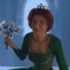 💚•SHREK~GIFS•💚 7