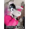 Burrita Burrona 6