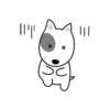 I'M CUTE BULL TERRIER🐾✨ 7