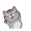 Kucing gemoy 1 21