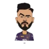 Kolkata Knight Riders — IPL 8