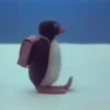 🐧❄️Pingu Animado❄️🐧 25