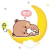 Yier 🐼 Dudu 🐻 16