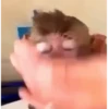 Random meme expression 13