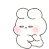 Bunny 7