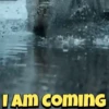 Trending Memes 5