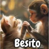 Gatos expresivos random 🐈💬 14