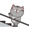 Kucing gemoy 1 29