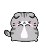 Animasi kucing lucu 10