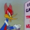 Woody Woodpecker 29