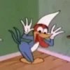 Woody Woodpecker 28