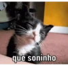 DIA/TARDE/NOITE 11