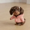 टिकटॉक के पिल्ले 🐶🎵  17