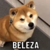 Memes aleatórios 12
