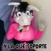 Burrita Burrona 17