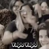 Vapo meme 12