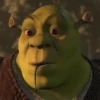 💚•SHREK~GIFS•💚 13