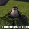 Memes Variados 4🦭 12