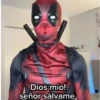 Carlos Alberto ✨🤣 13