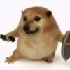 Só doguin🐶 11