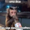 🐒 Macaco | Deboche Sincerão 3