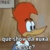Pica pau nervoso 8