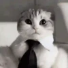 ANIMALITOS 🥺😍 17