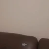 Banana cat 13