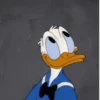 Pato Donald Time🦆✨ 16