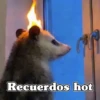 🧿 Tlacuache/ zariguella mov🦡 8
