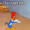 Pica pau nervoso 13