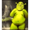 Shrek MEMES 💚 9
