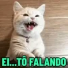 REAJA COM GATINHOS 😸🐈 9