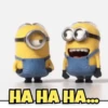 Minions 14