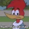 Pica pau nervoso 7